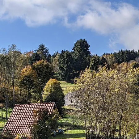 Chez Sophie Et Michel A Freconrupt * La Broque